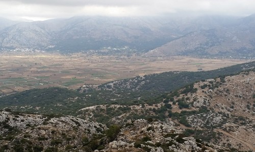 Excavation site