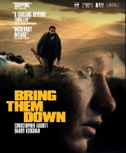 Cover of 'Bring them down'.