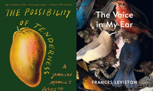 Book covers for 'The Possibility of Tenderness' and 'The Voice in My Ear'.