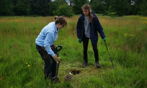 Two people planting a tree in a field