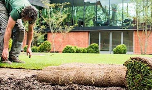 Man laying turf in garden