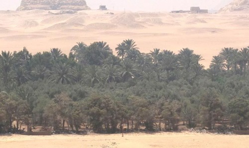 Egyptian landscape.