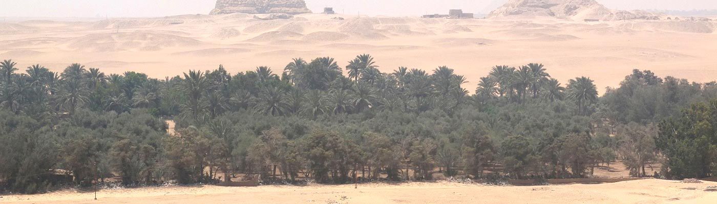 Egyptian landscape.