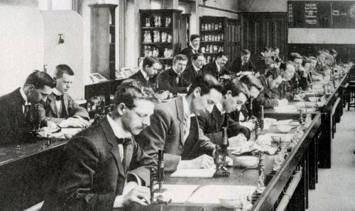 students working in pathology lab, 1900