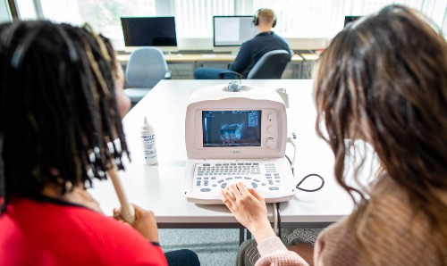 Researchers using equipment in the Language and Linguistics lab