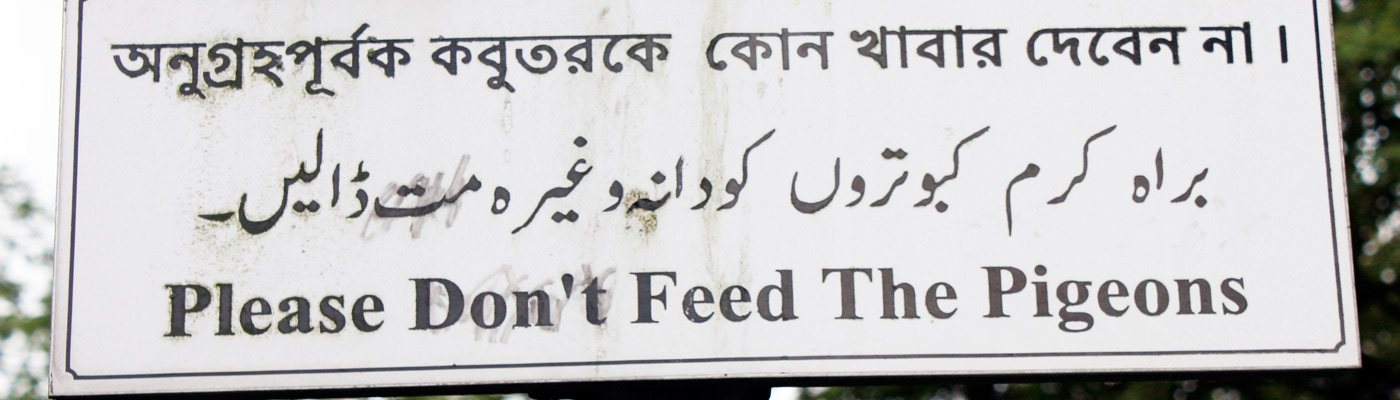 Sign that says dont feed the pigeons