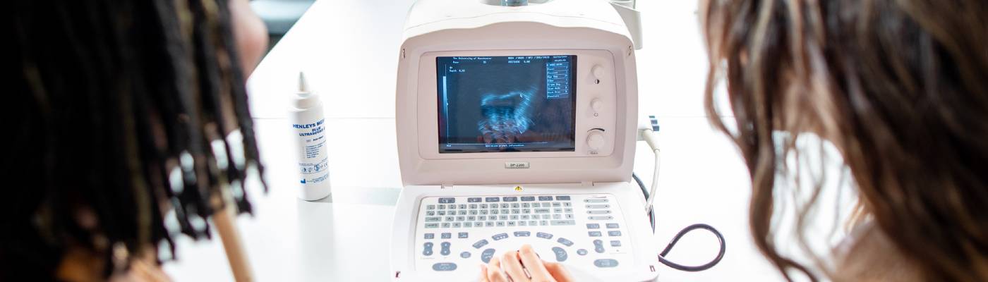 Researchers using equipment in the Language and Linguistics lab