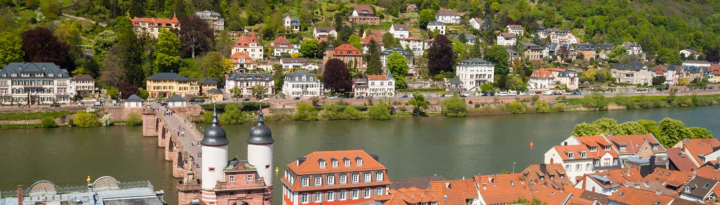 Carl Theodor Old Bridge in Heidelberg, Germany