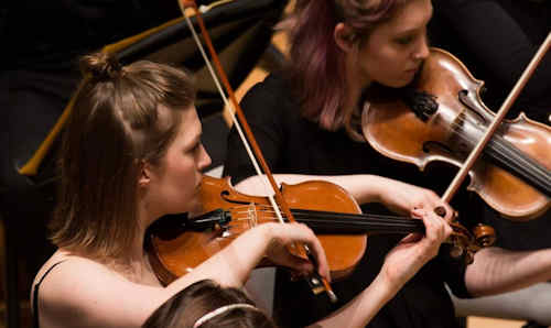Two violinists in Chamber Orchestra