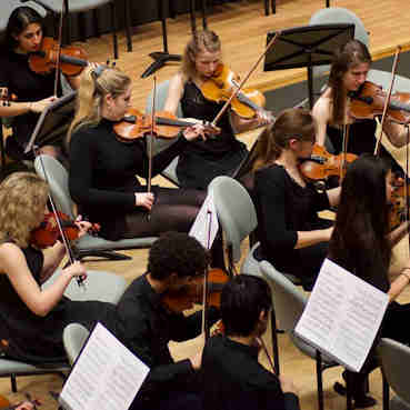 String Orchestra in concert